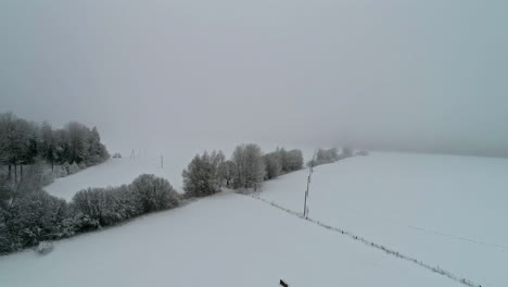 Aerial-shot-of-snowy-fields-and-trees-on-a-grey-and-foggy-day