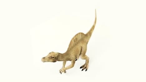 Video-Mit-Weißem-Hintergrund-Des-Spinosaurus-Skeletts