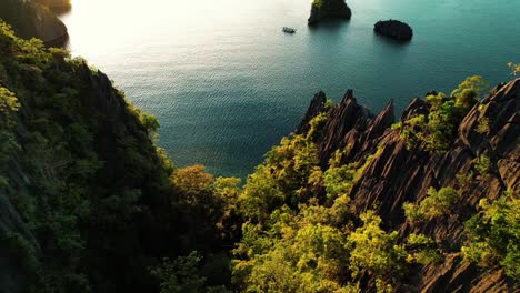 Antena-Cinematográfica-De-4k-De-árboles-Y-Rocas-Kársticas-Irregulares-En-Palawan,-Filipinas