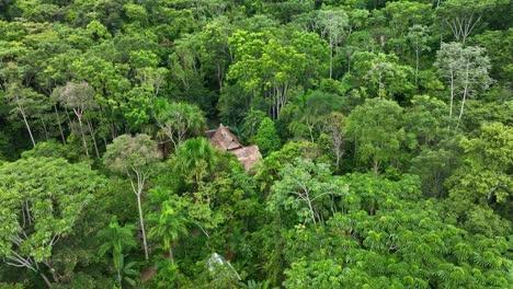 Haus-Tropischer-Dschungel-Im-Amazonas,-Südamerika