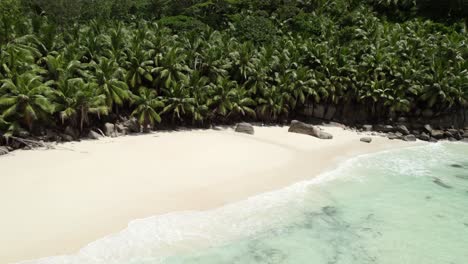 Mahe-Seychelles,-reveal-shot-of-intandence-beach,-clients-under-the-palm-trees-taking-a-rest