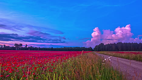 Magischer-Zeitraffer-Von-Flauschigen-Lila-Wolken,-Die-Sich-Am-Blauen-Himmel-Bewegen,-Mit-Einem-Bett-Aus-Rotroten-Blumen-Und-Bäumen-Darunter