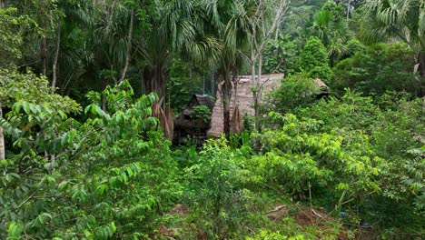 Haus-Tropischer-Dschungel-Im-Amazonas,-Südamerika