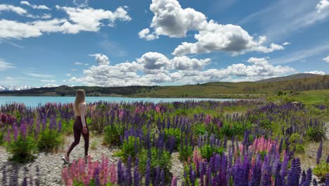 Fit-blond-woman-walking-through-vibrant-Lupin-Flower-field-in-New-Zealand