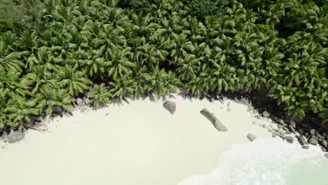 Mahe,-Seychelles,-Intendance-beach-drone-by-moving-down-revealing-the-shore,-couple-relaxing-under-the-palm-trees-on-a-hot-day