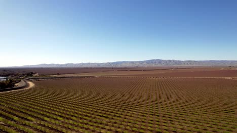 San-Joaquin-River-area-with-almond-trees-near-modesto-california