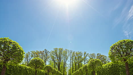 Niedrigwinkel-Zeitraffer-Eines-Blauen-Himmels-Mit-Wolken-Und-Grünen-Bäumen