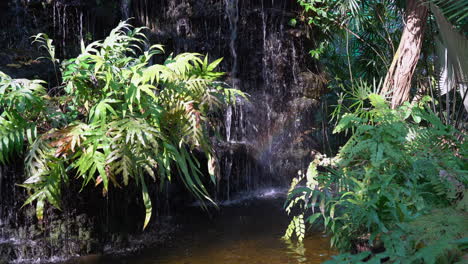 Ein-Kleiner-Künstlicher-Indoor-Wasserfall,-Bei-Dem-Das-Wasser-über-Die-Felsen-Und-Durch-Die-Vielen-Tropischen-Pflanzen-Fällt