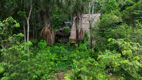 Casa-Selva-Tropical-En-Amazon,-América-Del-Sur