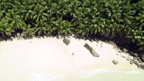 Mahe-Seychellen-Mann,-Der-Zum-Schwimmen-In-Richtung-Meer-Geht,-Schöne-Ecke-Des-Strandes-Mit-Kokospalmen,-Frau-Mittleren-Alters,-Die-Im-Schatten-Sitzt
