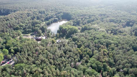 Flying-Over-Forest-with-Lake