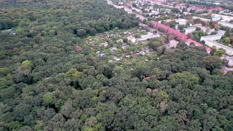 Drone-Flying-Over-Forested-Neighborhood
