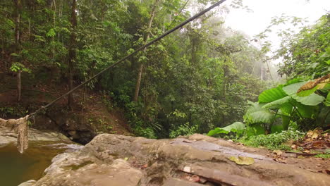 Río-Lento-En-El-Bosque-De-La-Selva-De-Ecuador