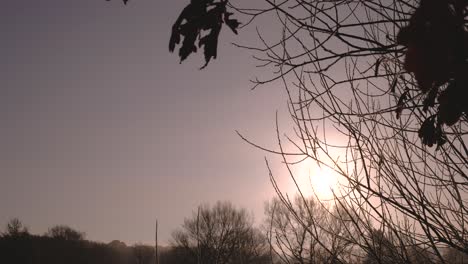 Panoramaaufnahme-Eines-Ruhigen-Wintermorgens-In-Der-Natur-Von-Thetford,-Großbritannien