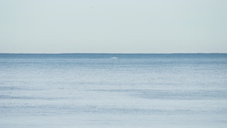 Wide-shot-of-whale-breaching-out-the-water-in-the-distance-at-sea-on-a-still-day