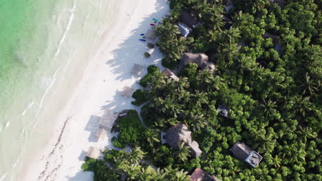 Top-down-aerial-view-of-cabanas-and-huts-on-beautiful-white-sand-beach-in-tropical-paradise