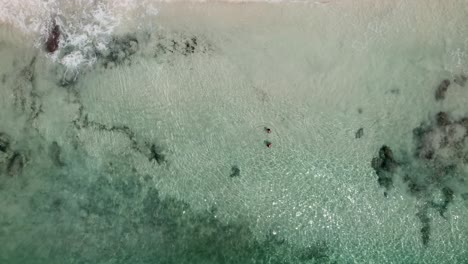 Mahe-Seychelles-drone-shot-over-couple-in-the-water-enjoy-the-ocean,-clear-water-and-waves