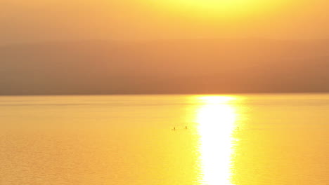 Friends-paddleboard-in-the-sea-during-sunrise-in-front-of-mountains-and-hills-in-Israel,-the-Sea-of-Galilee
