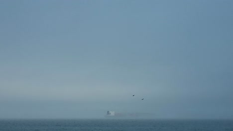 two-black-birds-flying-across-a-foggy-sky-with-a-spooky-looking-ship-in-background