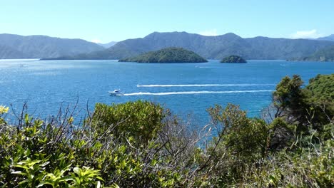 Boating-activity-on-a-beautiful-deep-blue-sea-in-summertime---Karaka-Point,-Queen-Charlotte-Sound