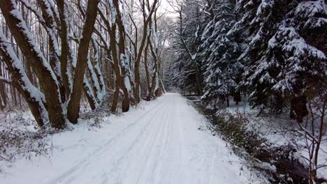 Filmisches-Langsames-Gehen-Auf-Dem-Weg-Im-Verschneiten-Winterwald,-Umgeben-Von-Vereisten-Bäumen,-Die-Von-Schnee-Bedeckt-Sind
