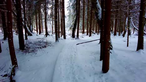 POV-short-of-person-walking-in-the-snow-in-between-the-trees