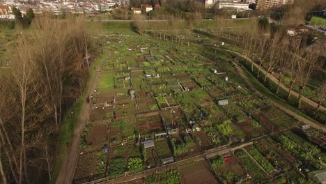 Community-garden-in-the-City-Aerial-View