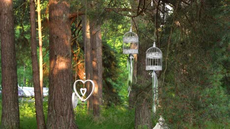 modern-bird-cages-in-the-middle-of-the-forest