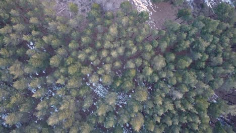 top-down-Aerial-view-flying-forward-during-sunset-in-winter-with-snow-patches-and-pine-forest-in-Madrid,-Spain