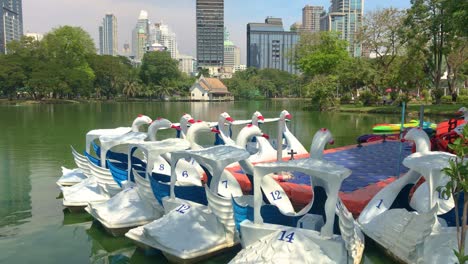 Beautiful-white-swan-boats-in-the-lake-of-Lumphini-public-Park,-free-service-swan-boats-for-tourists