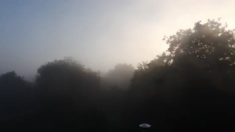 Fliegen-Durch-Freie-Durch-Nebel-Der-Sonne-Entgegen