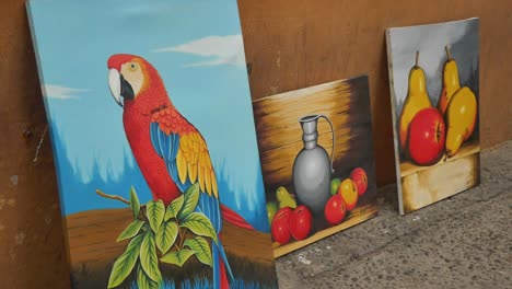 Pinturas-De-Guacamayos-Y-Frutas-En-Cartagena,-Colombia