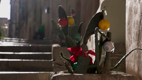 Matera,-Italy-Cactus-with-Christmas-ornaments