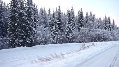 Glenn-Highway-of-Alaska,-the-scenery-is-breathtaking-as-you-take-in-this-wintery-paradise