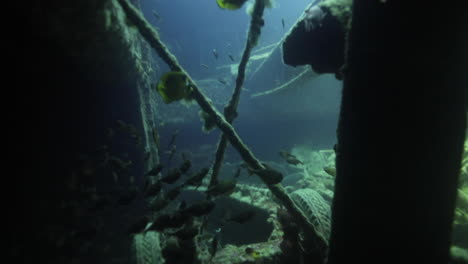 SS-Thistlegorm-is-one-of-the-most-famous-wrecks-in-the-world-carrying-military-equipment-during-the-World-War-II-,-it-attracts-many-divers-for-the-amount-of-the-cargo-that-can-be-seen-and-explored
