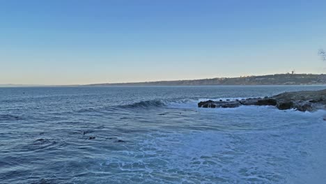 Drone-shot-of-Sea-Lions-playing-and-jumping-in-the-surf-in-La-Jolla,-California-with-horizonline-in-view-during-king-tide