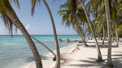 La-Mejor-Playa-Del-Mundo---Isla-Saona,-Republica-Dominicana