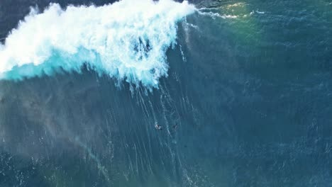 Drone-shot-turning-while-sea-lions-play-and-float-in-blue-ocean-when-wave-washes-over-them-during-king-tide-in-La-Jolla-California