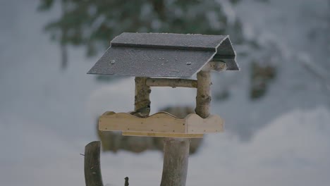 Small-bird-fighting,-flying,-searching,-and-eating-food-in-a-birdhouse-in-winter-with-nature-covered-in-snow-captured-in-slow-motion-in-240fps