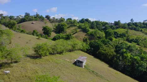 Aerial-flyover-green-growing-hills-with-tiny-houses-during-sunny-day-and-blue-sky-in-El-Caimito---Countryside-of-Dominican-Republic