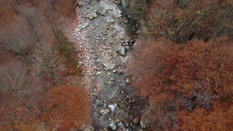 Autumn-trees-and-mountain-river-aerial-view