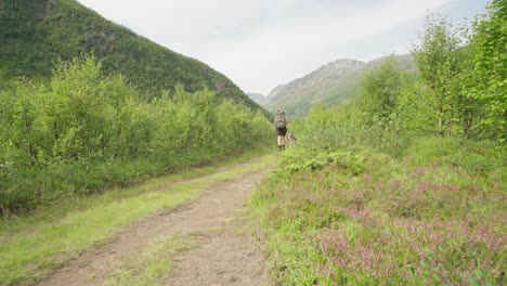 Hiking-with-a-dog-at-the-mountains-of-Lyngsdalen-Norway