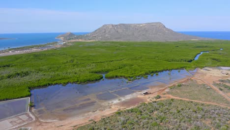 Aerial-ascending-shot-showing-beautiful-landscape-with-green-mangroves,-giant-mountain-and-Caribbean-Sea-in-background---San-Fernando-de-Monte-Cristi,Dominican-Republic