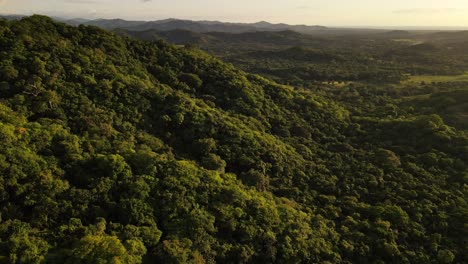 Unglaublich-Dichter-Dschungel-Der-Küstenregion-Costa-Ricas,-Eingefangen-Von-Hoch-Oben