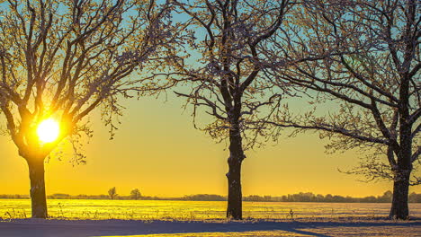 Sonnenuntergang-Im-Hintergrund-Hinter-Gefrorenen-Bäumen-Und-Beleuchtetem-Schneebedecktem-Boden,-Zeitraffer,-Winterszene