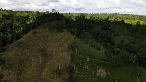 Tierras-De-Cultivo-En-El-Centro-De-La-Provincia-Norteña-De-Costa-Rica-Alajuela