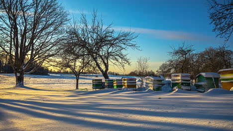 Day-time-lapse-showing-tree-shadows-move-over-snow-landscape-with-beehives