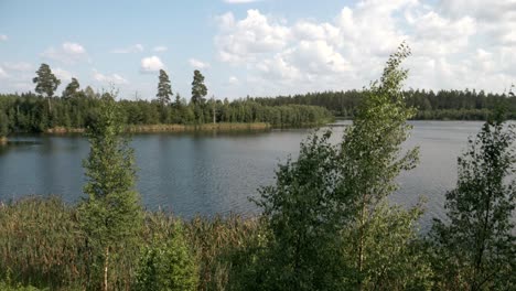 Ein-ökologischer-See-In-Schweden,-Der-Durch-Abwasserbehandlung-Entstanden-Ist