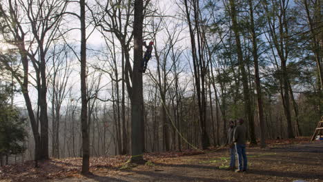 Man-Cuts-Branches-In-Tree-While-Others-Hold-Support-Ropes-On-Ground