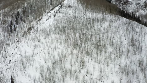Majestic-mountain-slope-covered-in-snow-and-dense-forest,-aerial-drone-view